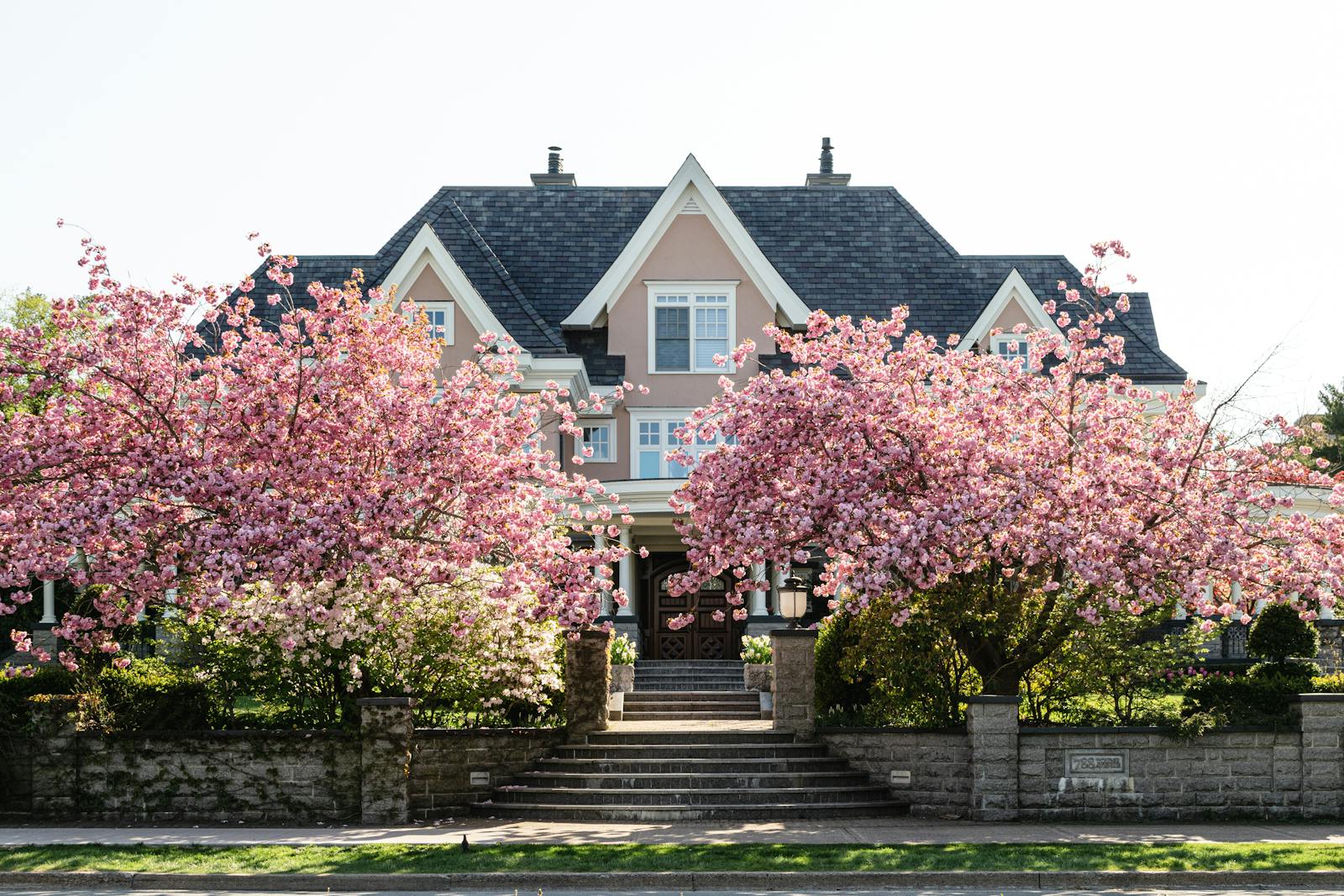 Exterior of contemporary cottage with stone stair and brick fence located near sakura trees with pink flowers against cloudless sky