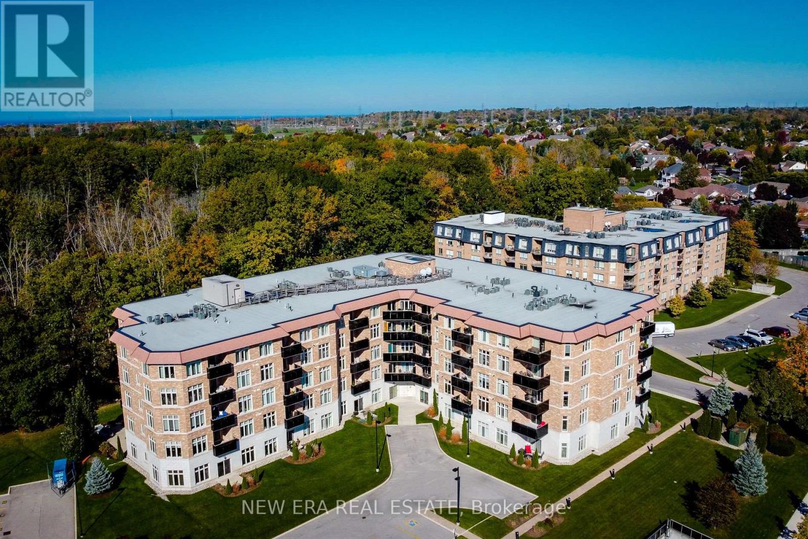 36f97a275a9653051d2aa1d93dc15e28