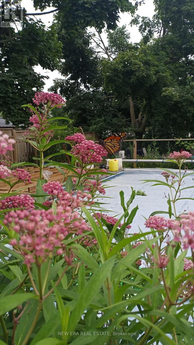 8fed7e97713e14e6875b410bf57e953e