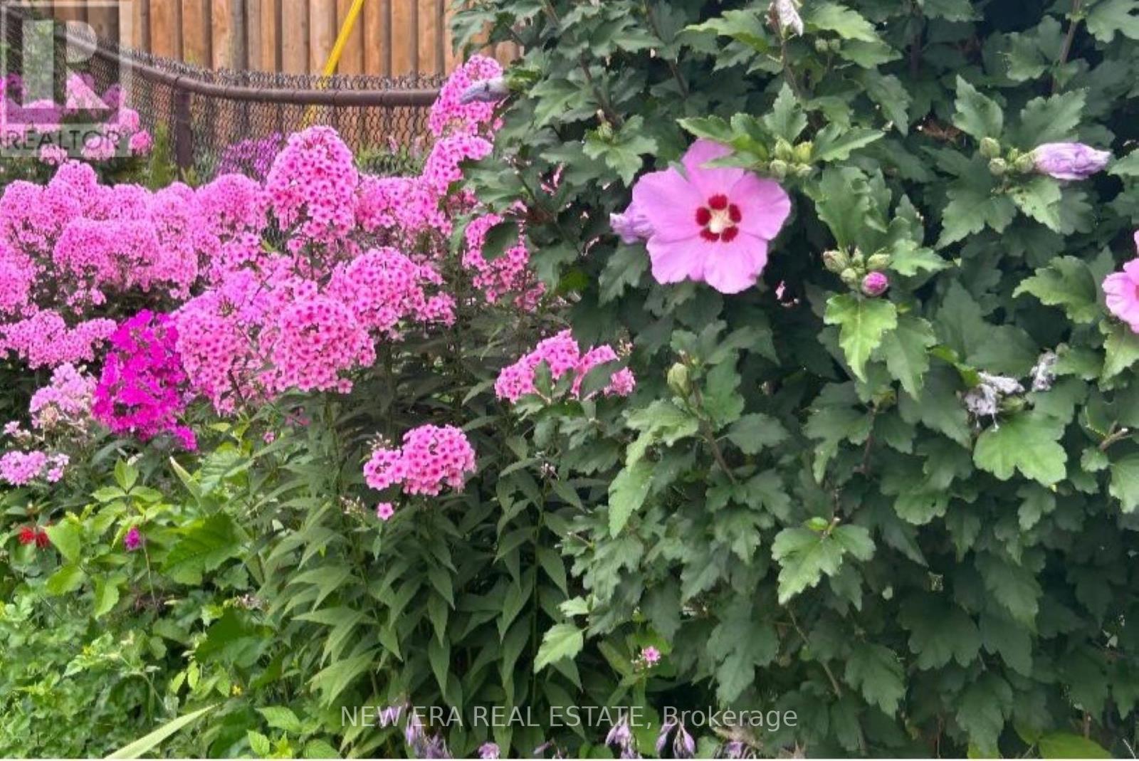 66f8356a606eef0e7a3ff2d3f801a44e